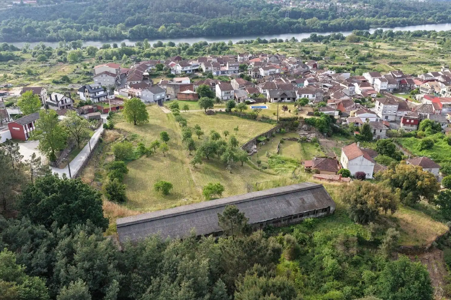 Land for sale in Ribadavia