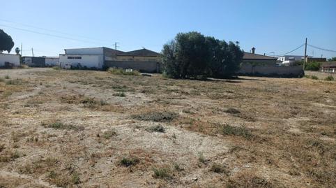 Foto 4 de Finca rústica en venta en Carretera de Sanlúcar - Sudamérica, Cádiz