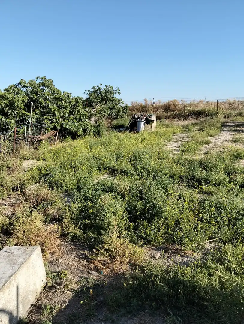 Casa o xalet en venda en Chiclana de la Frontera amb Traster