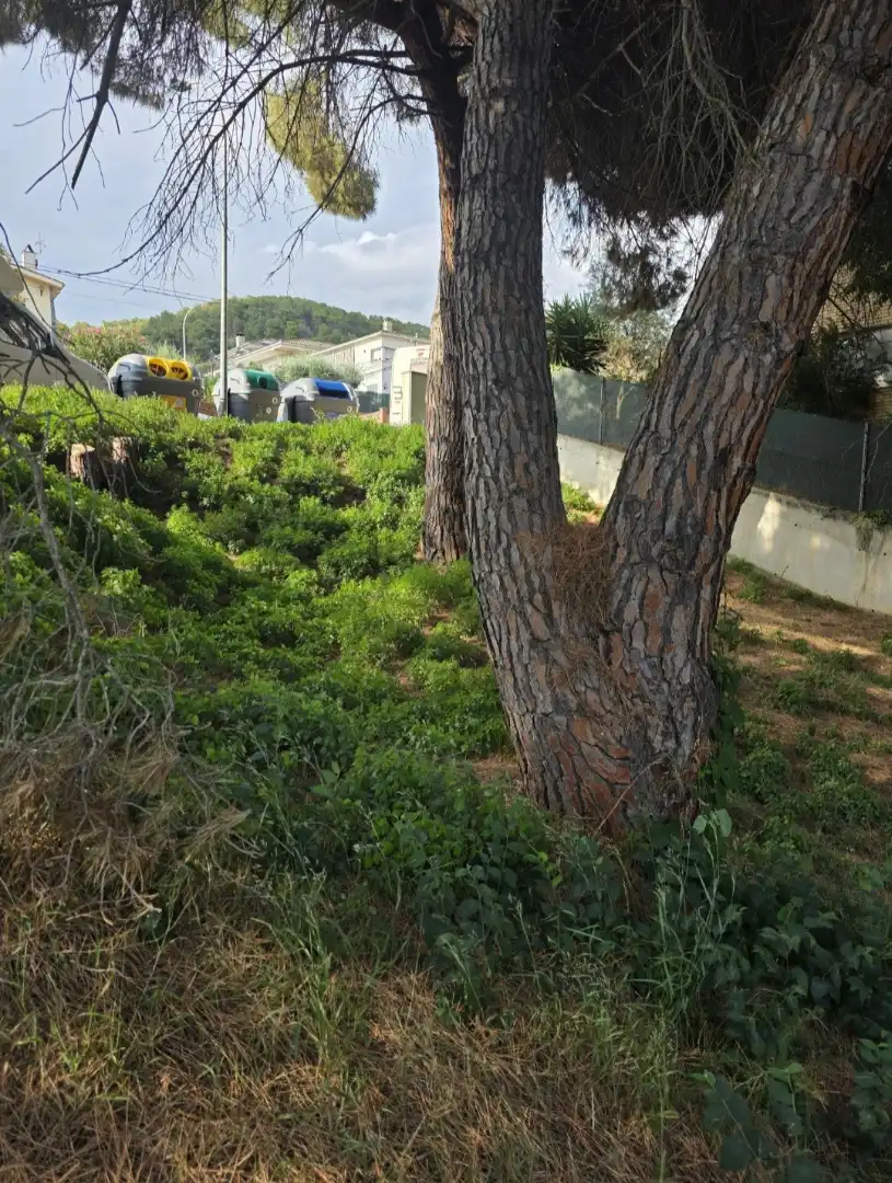 Terreno residencial en venta en Martorelles, imagen 5
