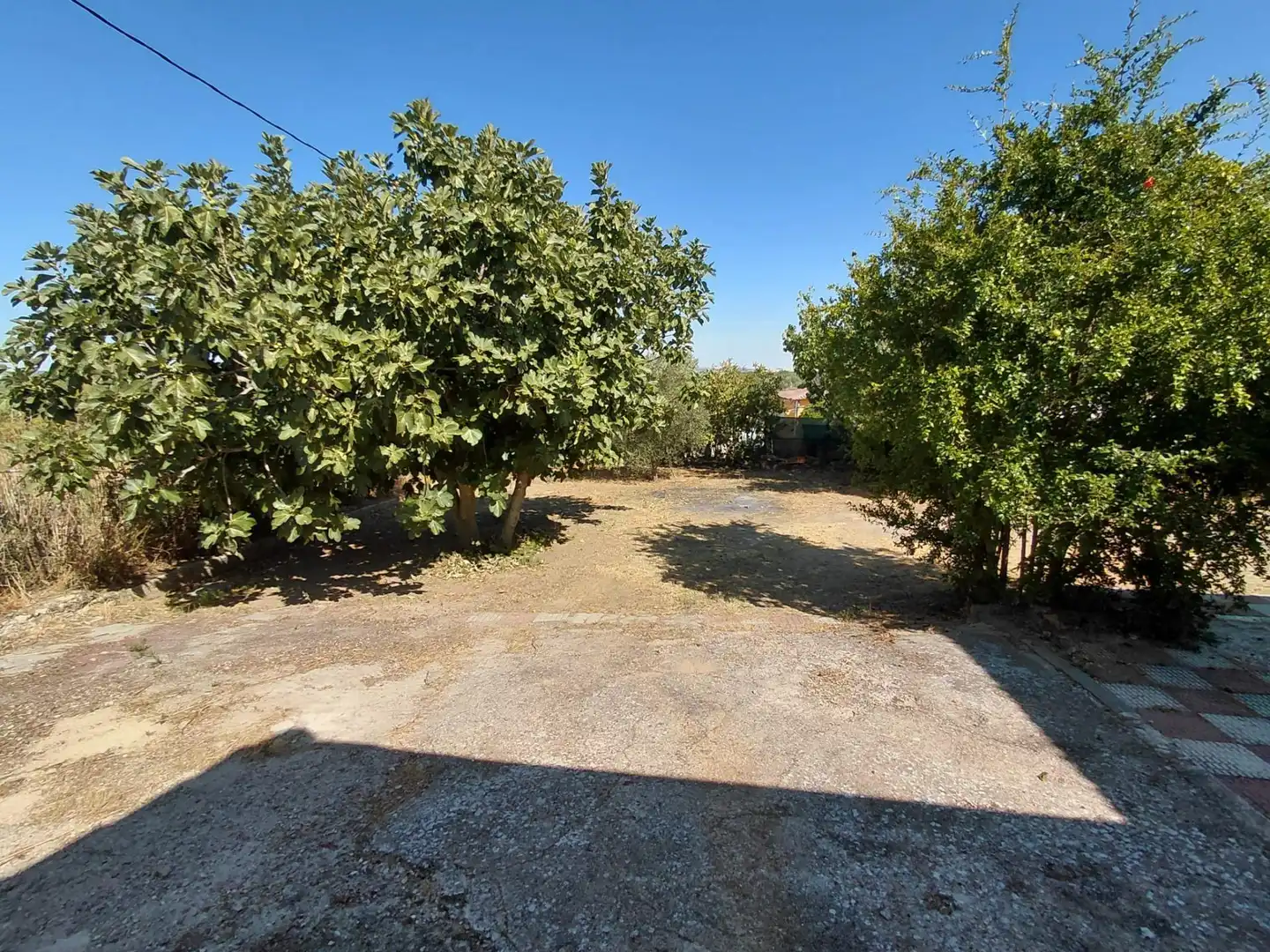 House with pool for sale in El Molar (Madrid), imagen 13