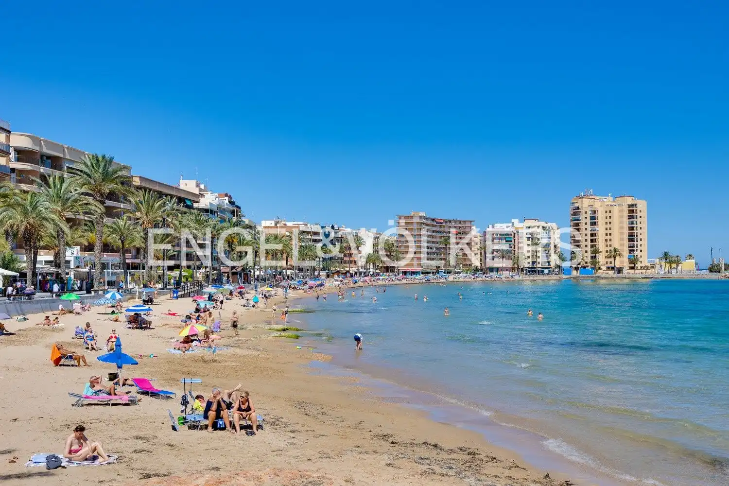 Àtic amb piscina en venda a Nueva Torrevieja - Aguas Nuevas, imagen 8