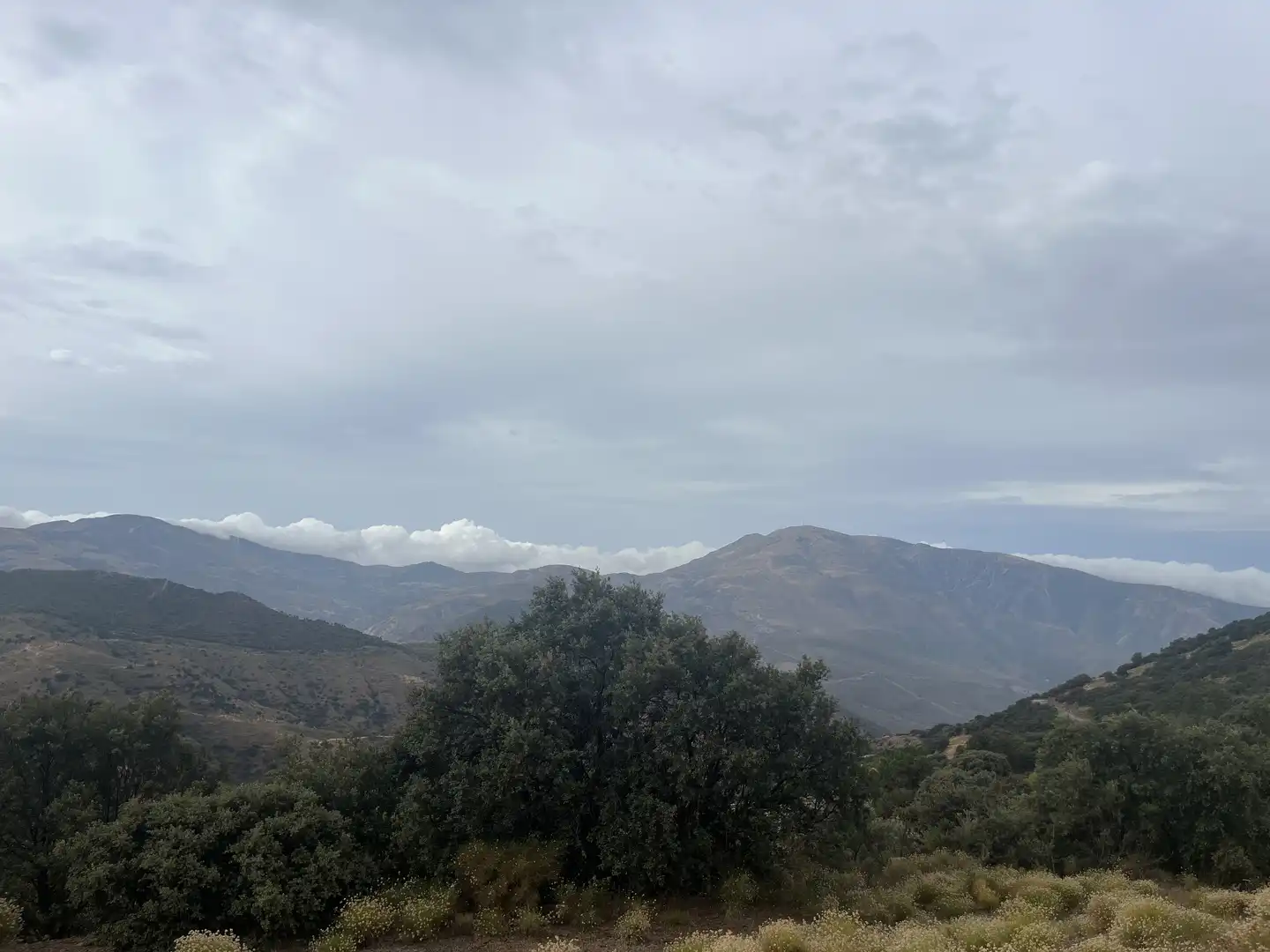 Vista exterior de Terreno en venta en La Taha