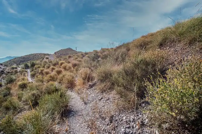 Terreno rustico in vendita a Paraje Collados de las Hormigas, Cumbre de los Collados, Sector 1, imagen 16