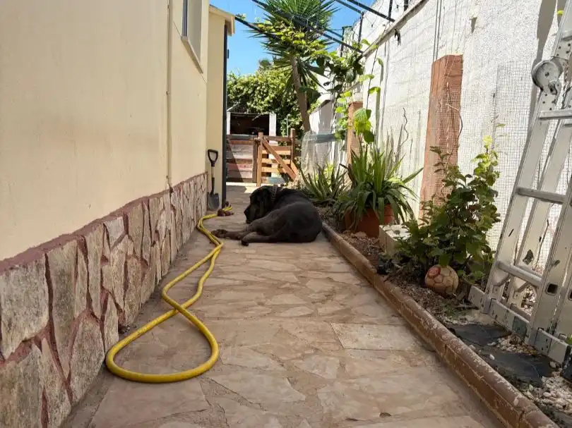 Vista exterior de Casa o xalet en venda en Vinaròs amb Aire condicionat, Calefacció i Jardí privat