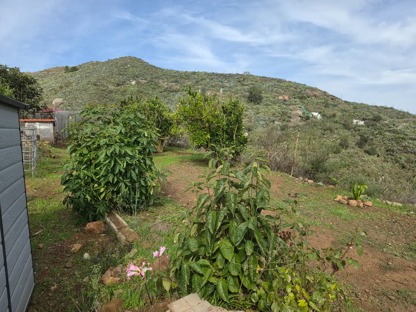 Finca rústica en venta en El Palmar
