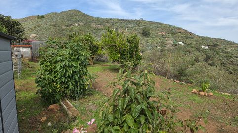 Foto 4 de Finca rústica en venta en Calle Lomo Los Silos, El Palmar, Teror
