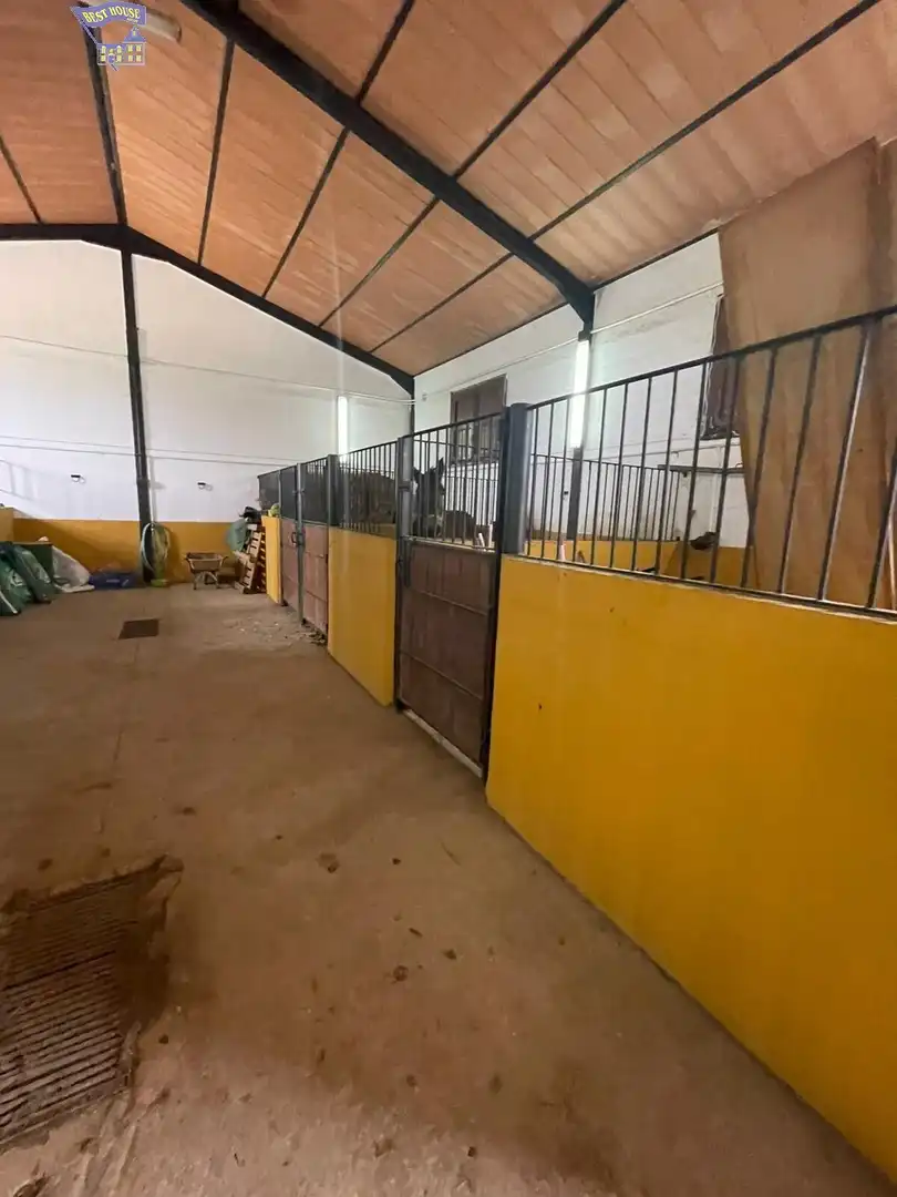 Casa rústica en venda a Arcos de la Frontera, imagen 41