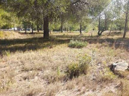 Terreno en venta en Estivella