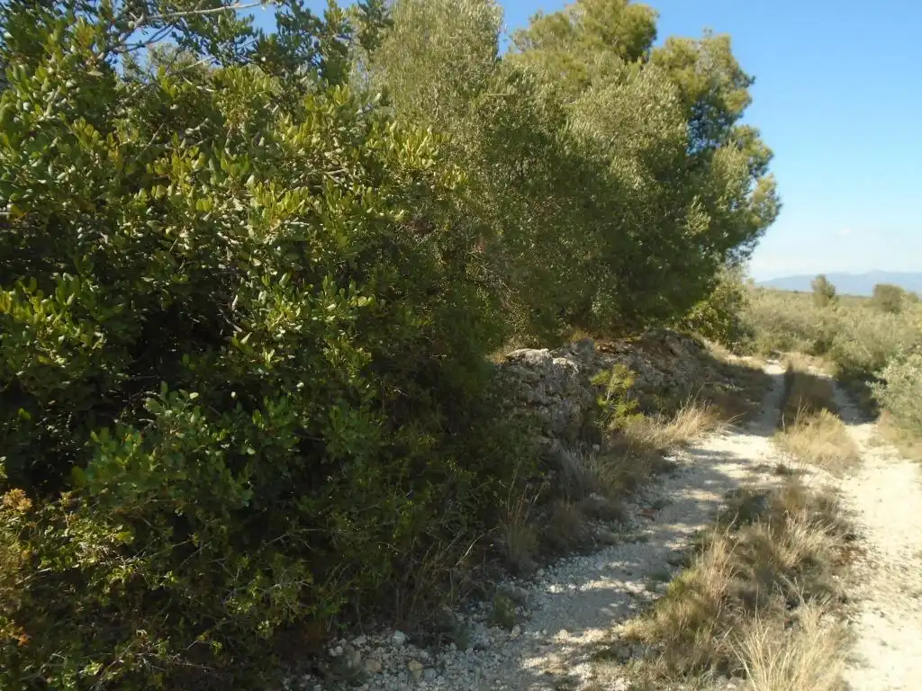 Residential land for sale in Vall D'En Pasto, imagen 13