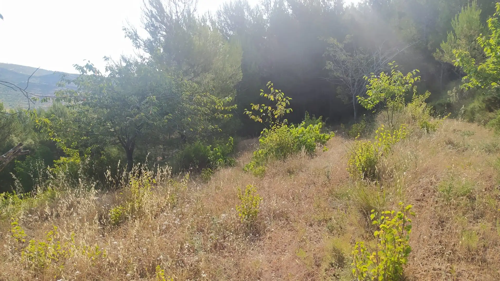 Residential land for sale in Gátova, imagen 2