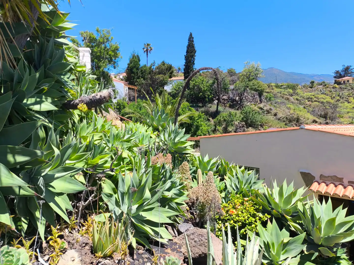 Jardí de Casa o xalet en venda en El Paso amb Aire condicionat, Calefacció i Jardí privat