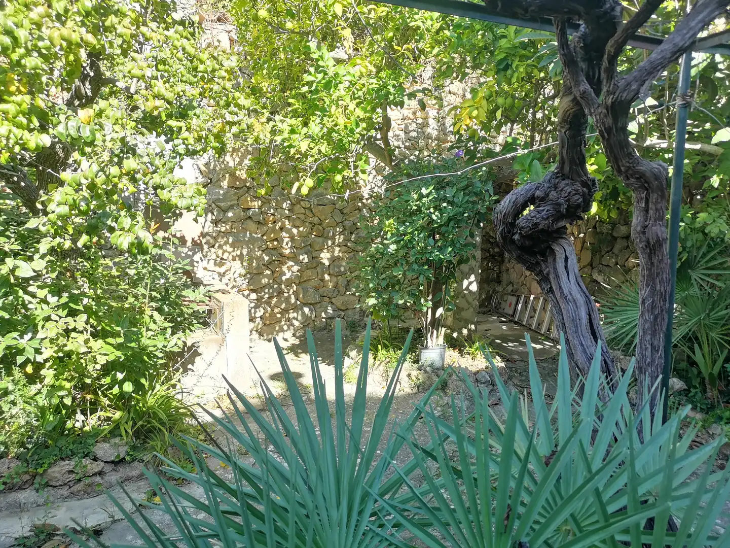 Jardí de Casa o xalet en venda en Puigpunyent amb Jardí privat, Moblat i Forn