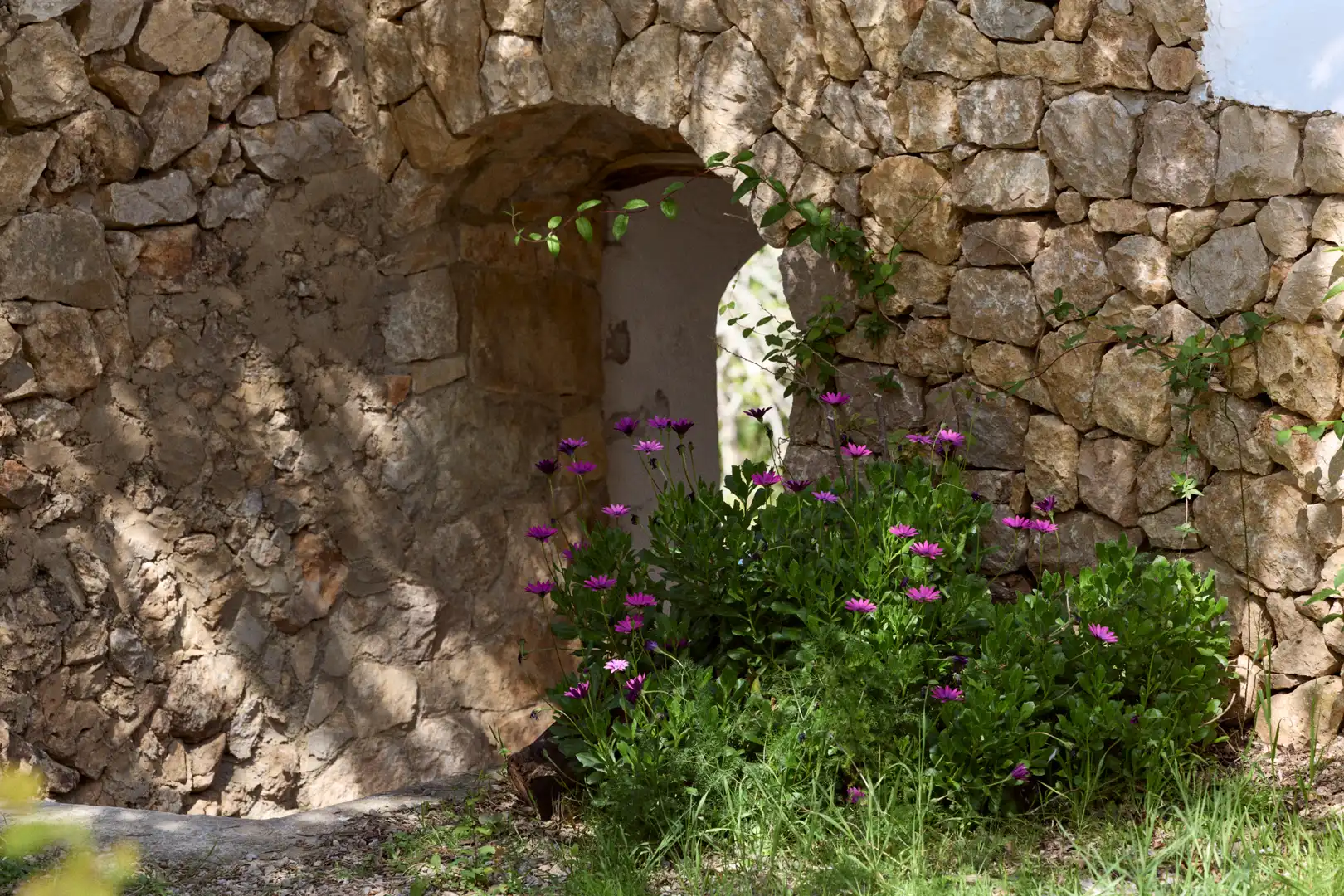 Jardí de Finca rústica en venda en Sant Joan de Labritja amb Aire condicionat, Jardí privat i Parquet