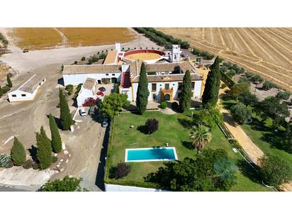 Garden of Country house for sale in La Puebla de Cazalla