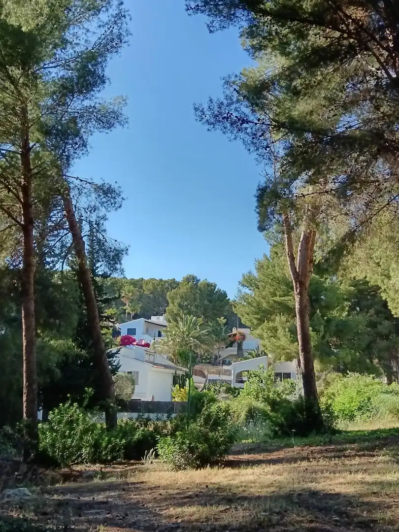 Casa amb terrassa en venda a Costa de la Calma, imagen 32