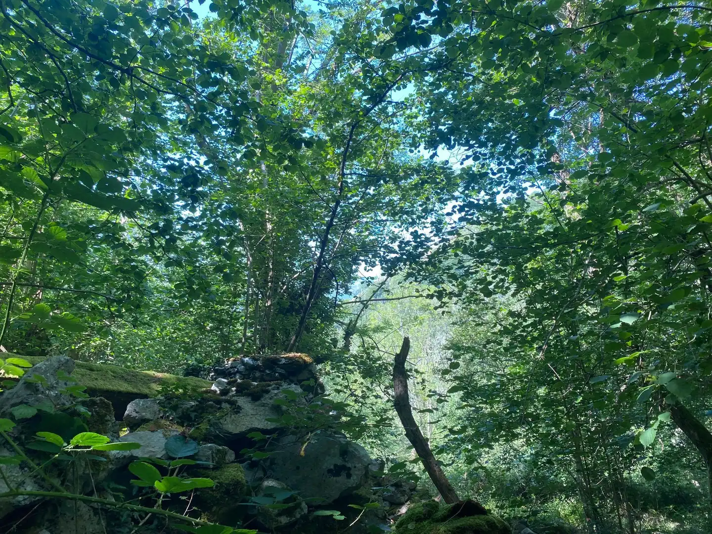 Terreno rustico in vendita a SEGÜENCO, imagen 3