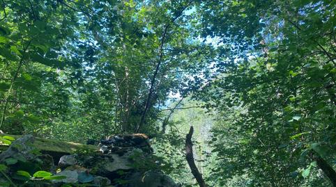 Foto 3 de Terreny en venda a Següenco, Cangas de Onís, Asturias