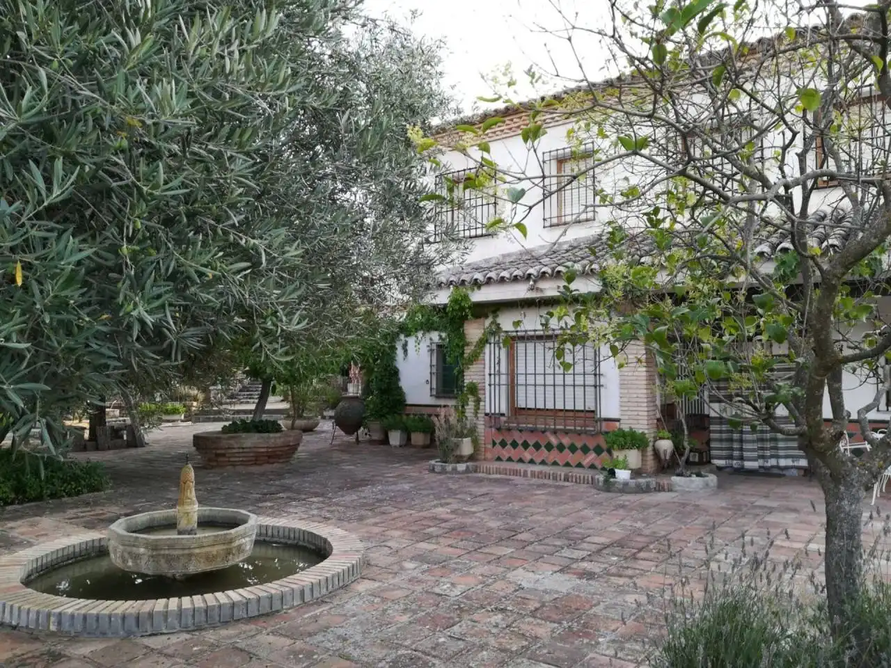 Garden of Buildings for sale in Toledo