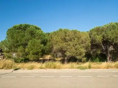 Industriegrundstück zum Verkauf in Eixample Residencial, imagen 2