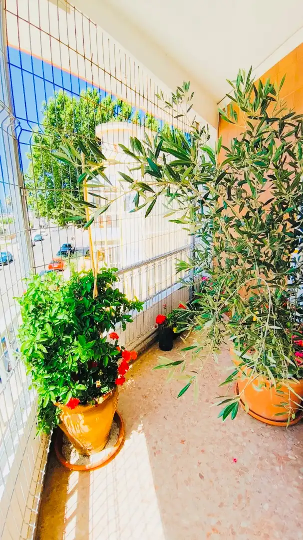 Balcony of Apartments for sale in Oliva  with Air Conditioner, Heating and Terrace