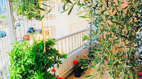 Foto 3 de Apartamento en venta en Oliva Nova, Oliva