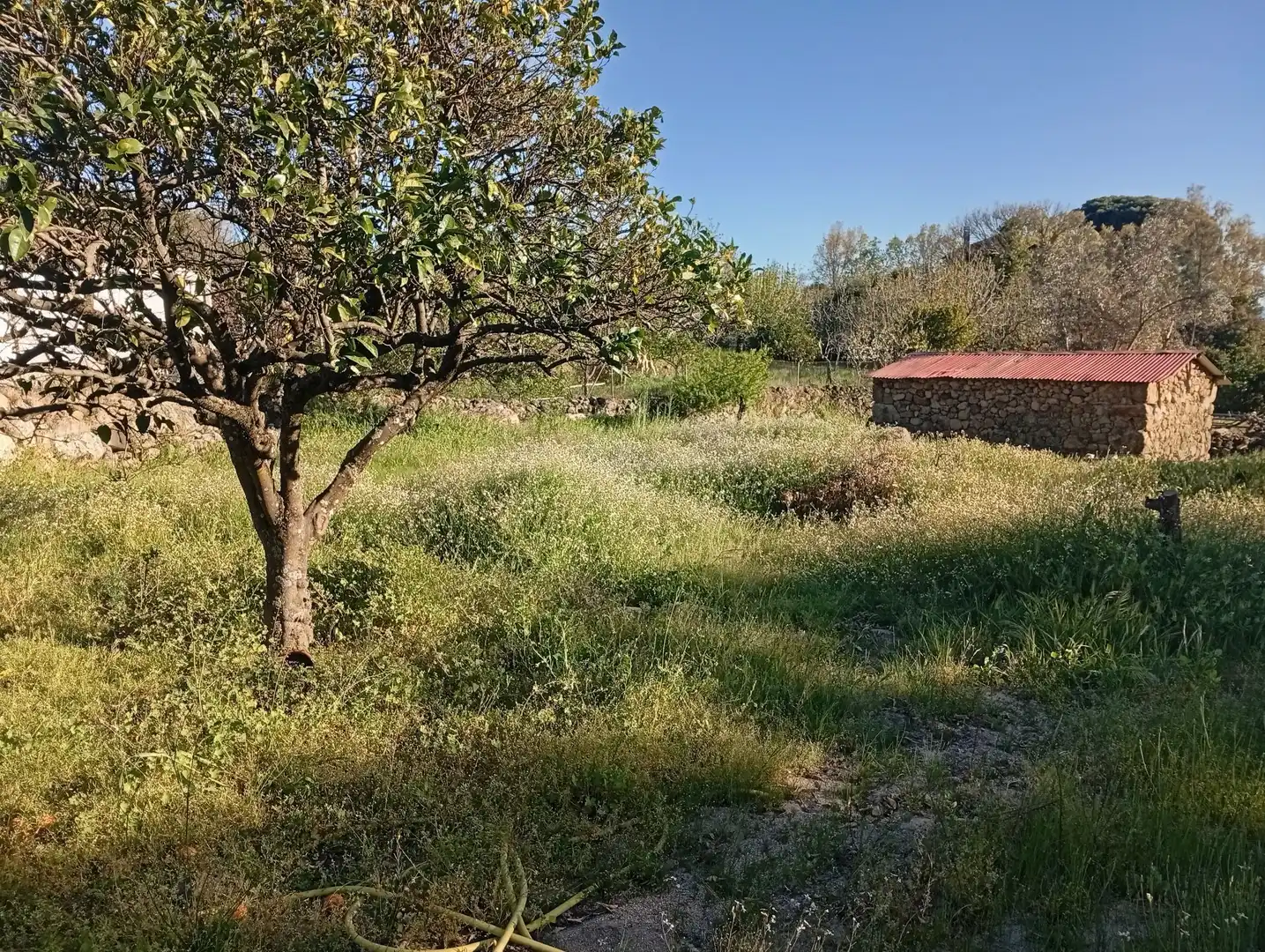 Terreno en venta en Valverde de la Vera