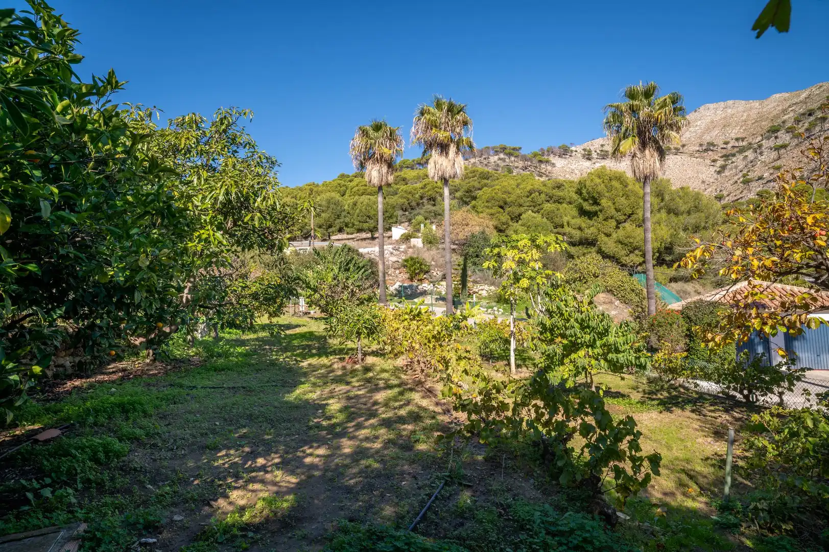 Casa o xalet en venda en Mijas amb Terrassa