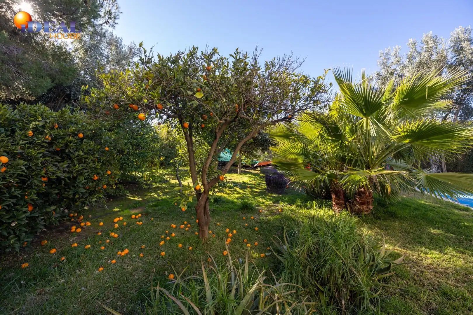 Villa avec terrasse à vendre à El Valle, imagen 48
