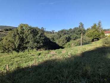 Terreno residenziale in vendita a Bo. Riosapero, 5, 39612 Riosapero, Cantabria 5