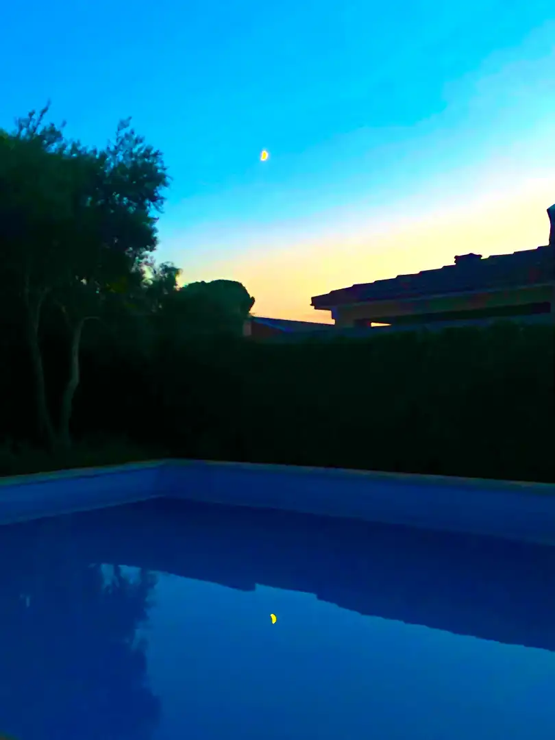 Villa avec piscine à vendre à Calle Fuente Serena, imagen 38