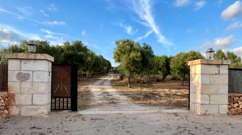 Foto 2 de Casa o chalet de alquiler en Zona Rústica - Interior, Illes Balears