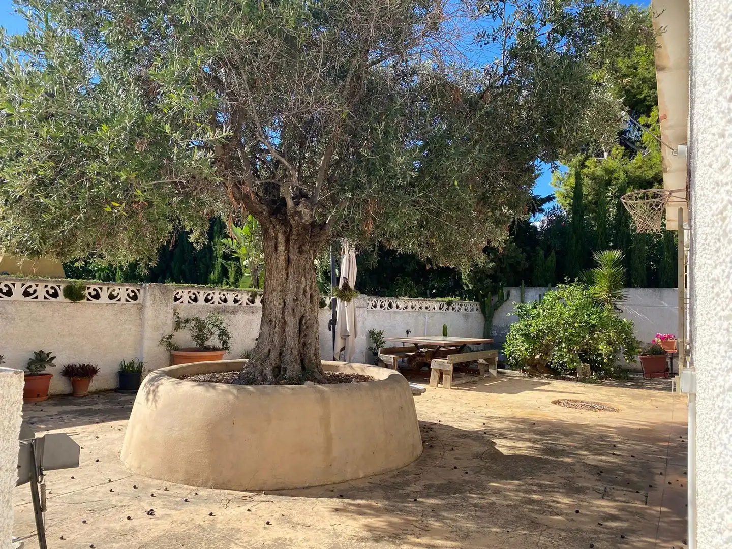 Jardín de Casa adosada en venta en El Campello con Jardín privado y Piscina comunitaria