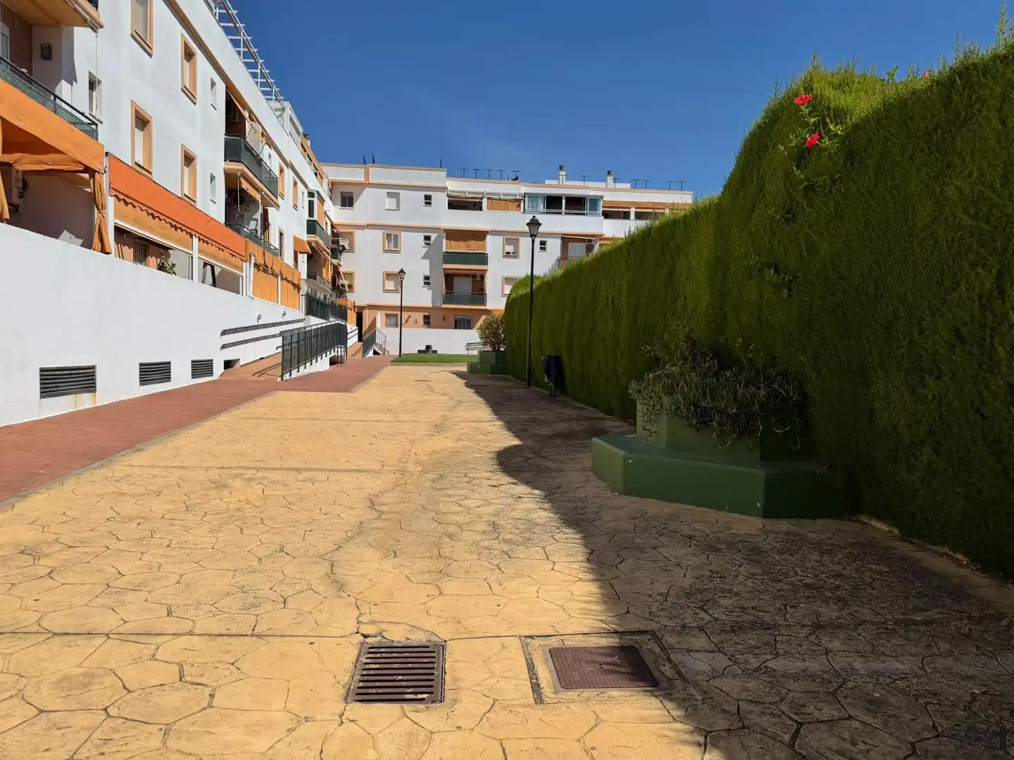 Vista exterior de Planta baixa en venda en Jerez sur