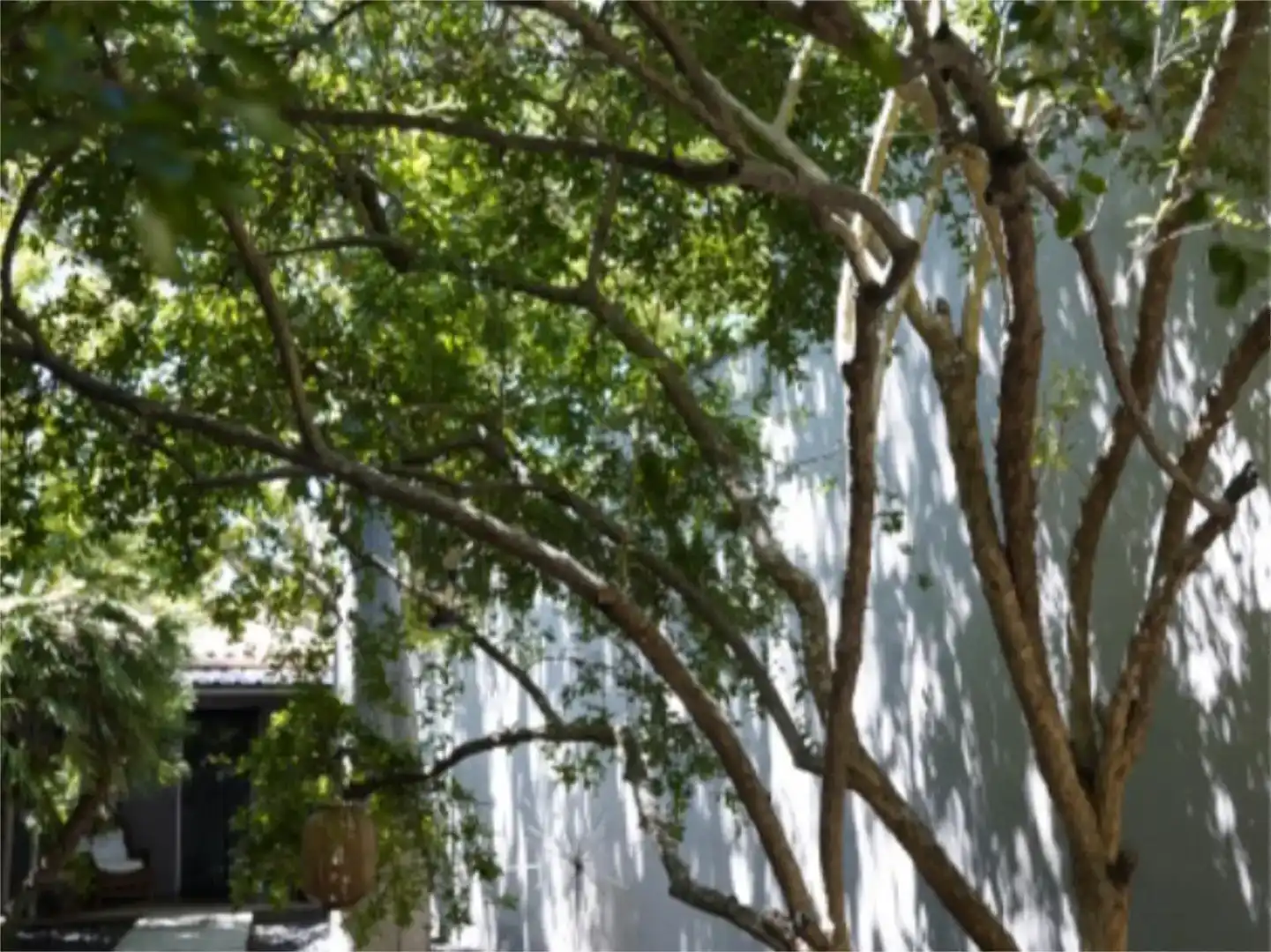 Vista exterior de Finca rústica en venta en El Perdigón  con Aire acondicionado, Jardín privado y Parquet