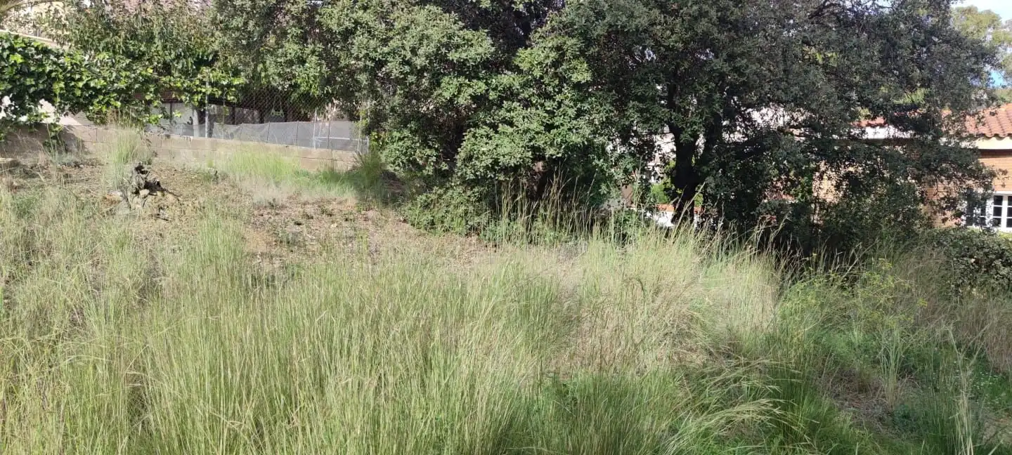 Lands and plots for sale in DE LA CAMELIA 4, imagen 7