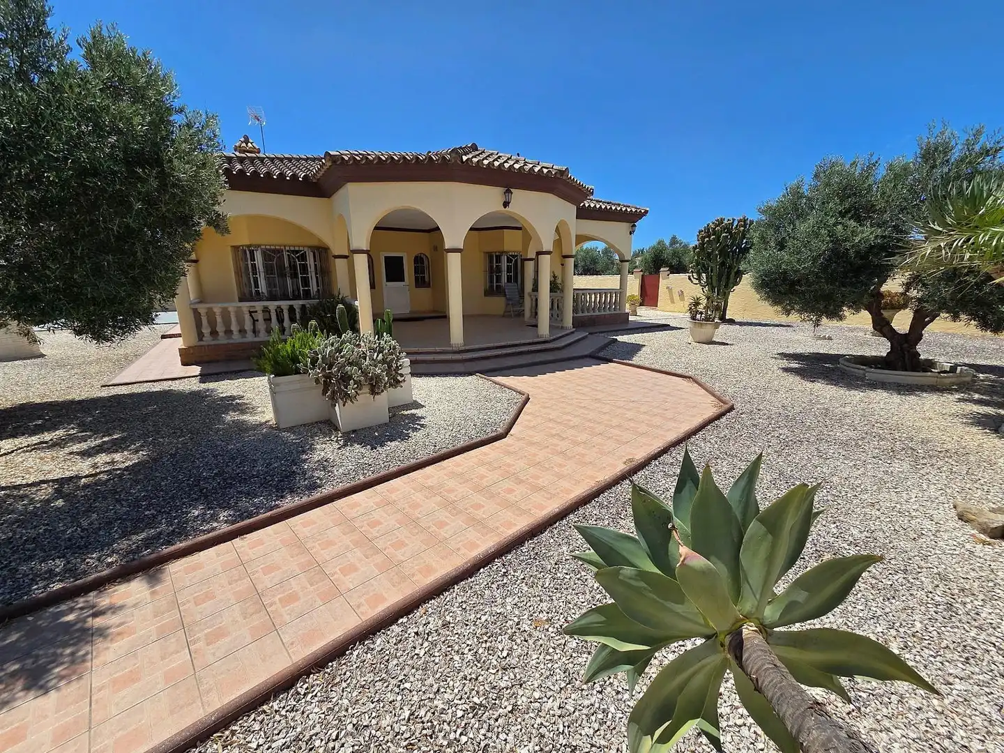 Vista exterior de Casa o xalet en venda en Chiclana de la Frontera amb Jardí privat