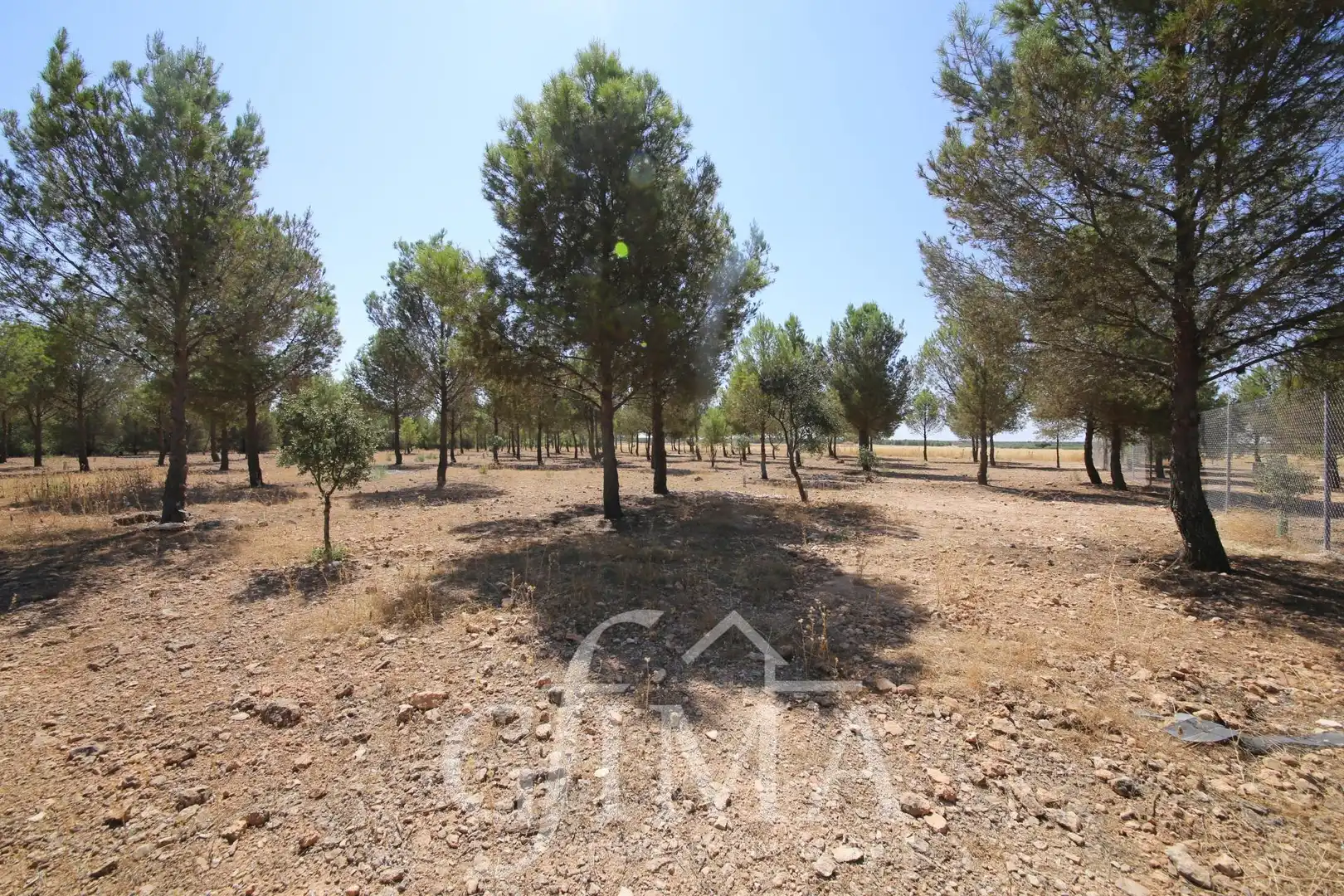 Chalet en venta en Tomelloso, imagen 56