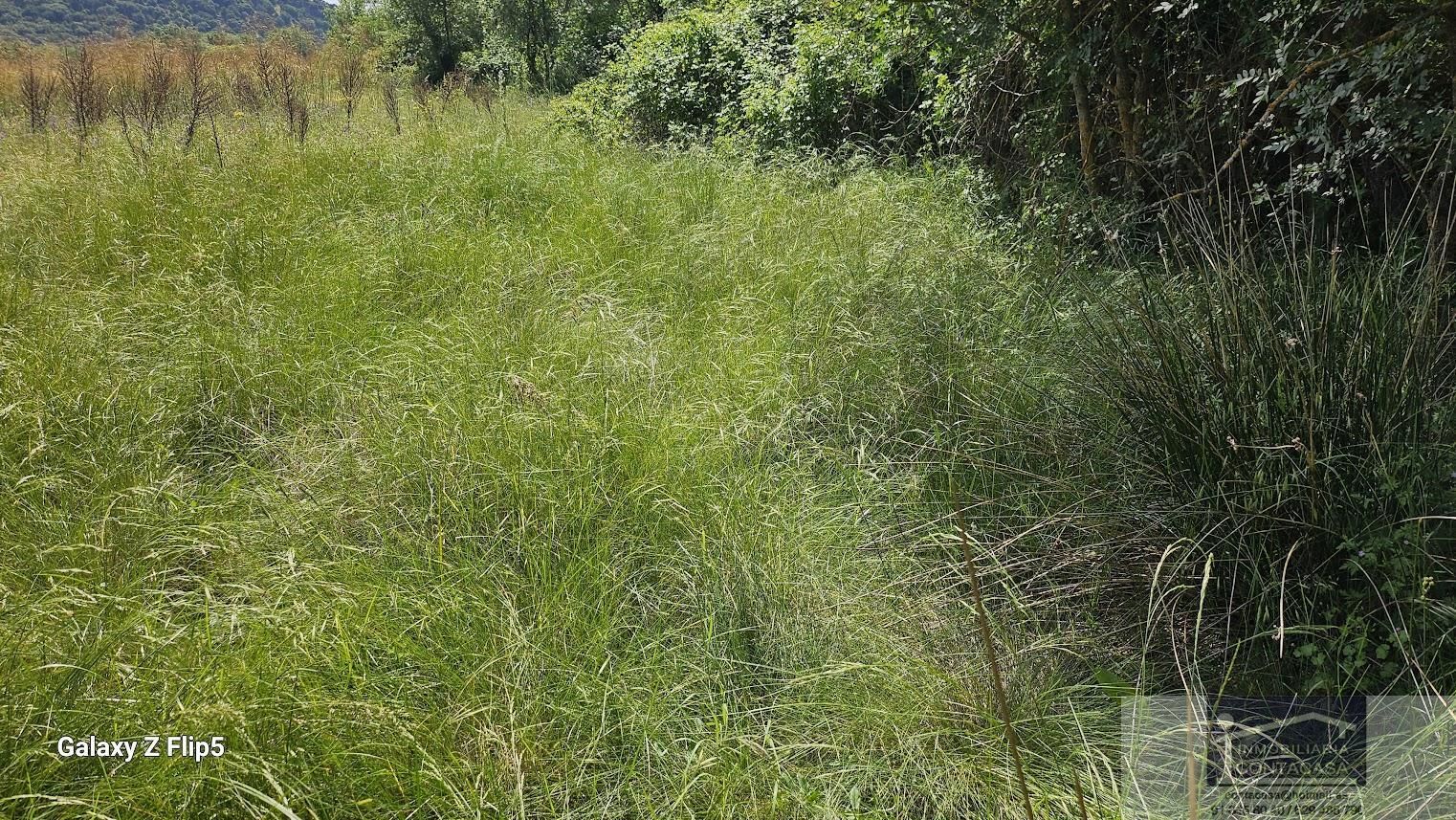 Finca rústica en venda en Miraflores de la Sierra
