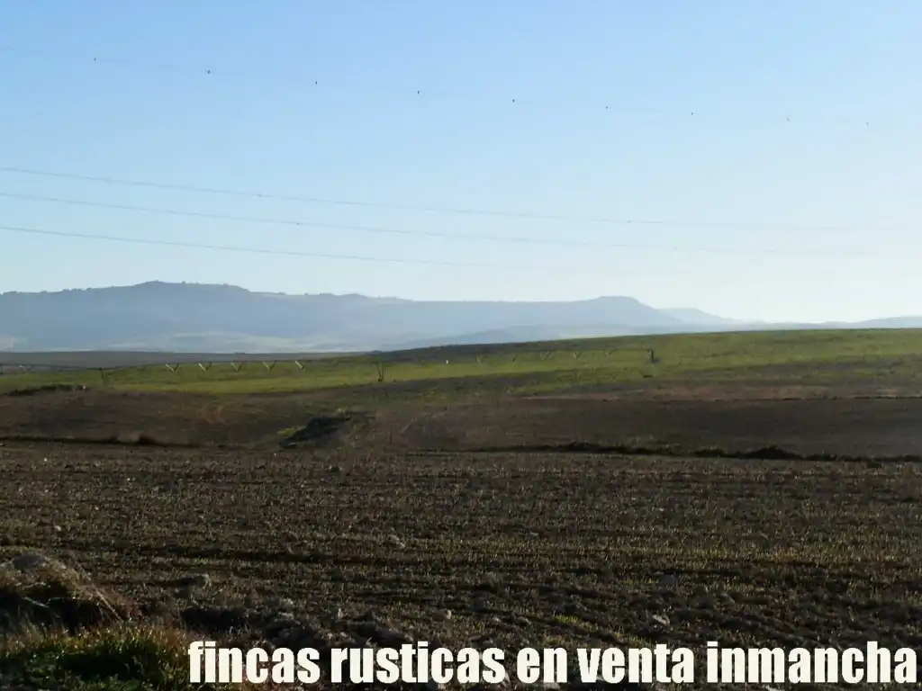 Terreni e lotti in vendita a Huete
