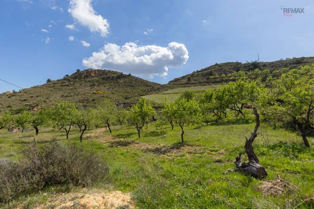 Terreno en Venta en Paraje el Campico, 10 en Bédar