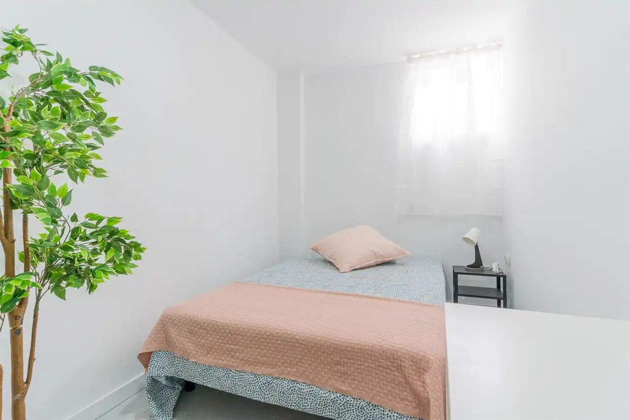 Room in Casco Histórico