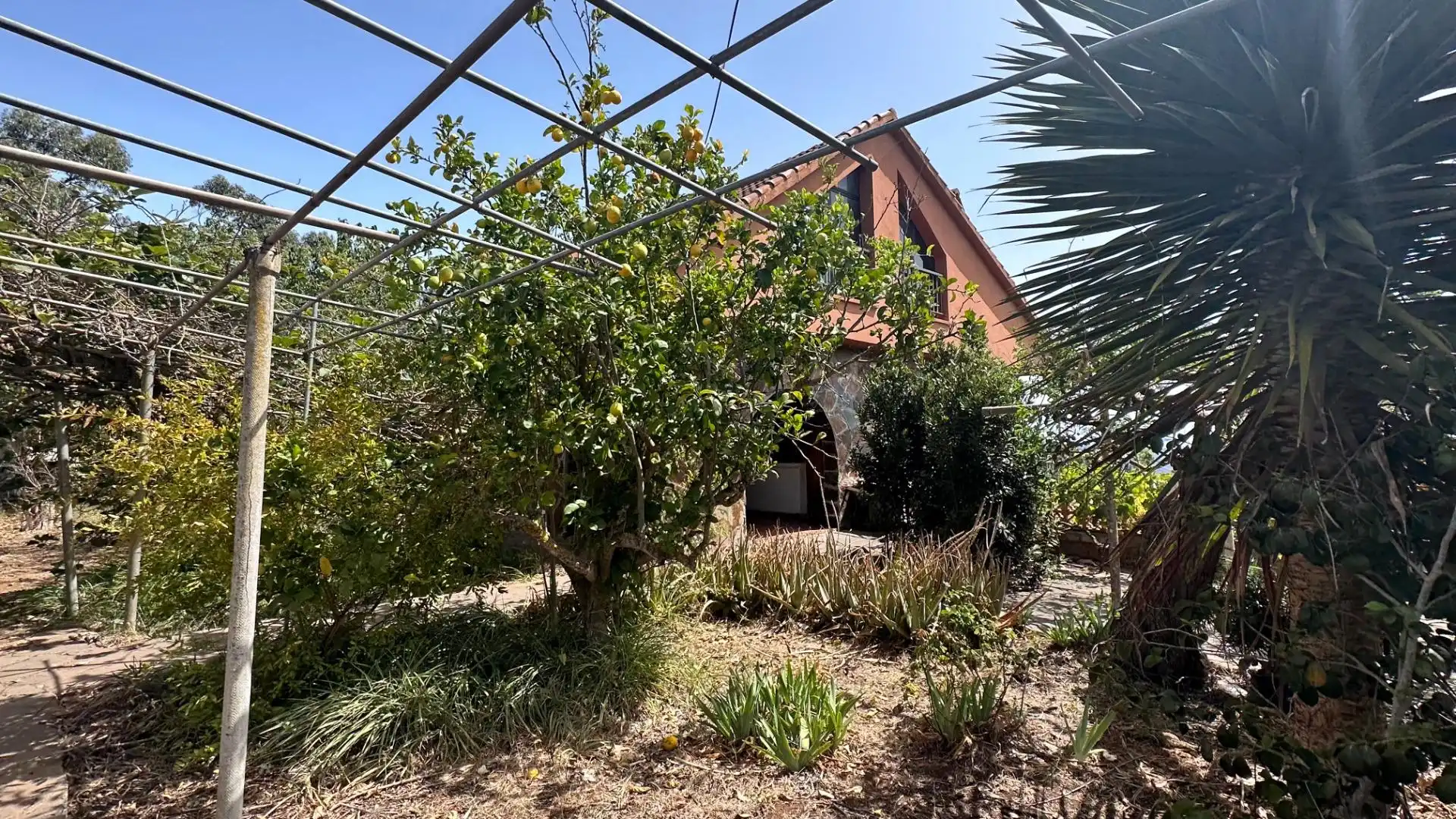 Vista exterior de Finca rústica en venta en El Rosario con Jardín privado, Terraza y Alarma