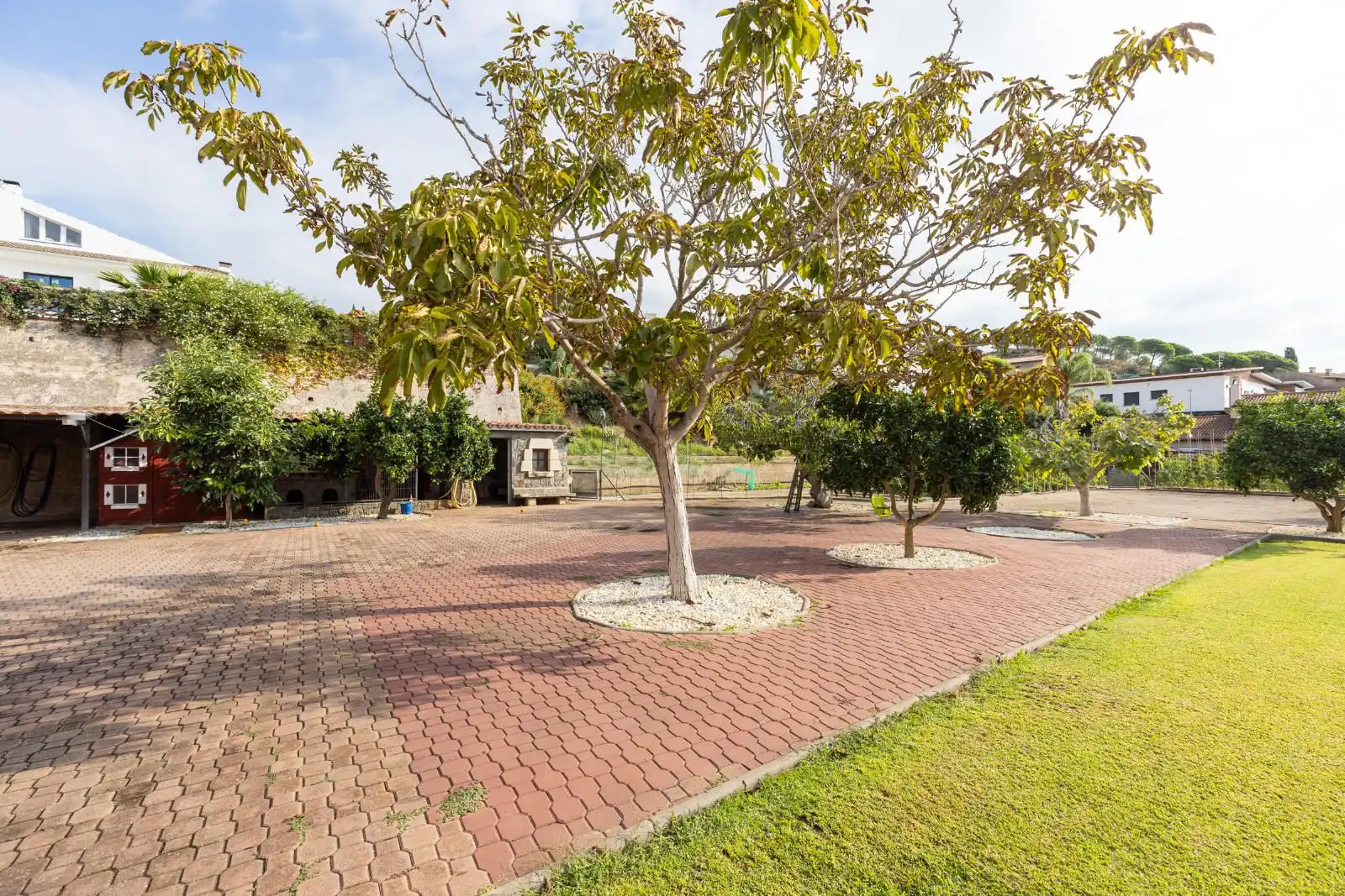 Jardí de Casa o xalet en venda en Mataró amb Terrassa i Piscina