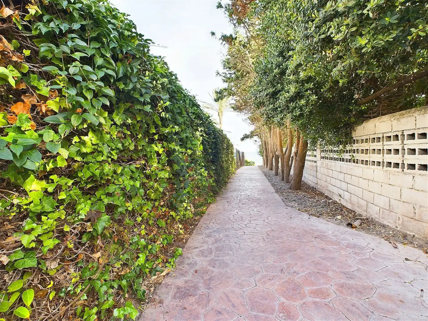Vista exterior de Apartament en venda en Estepona amb Aire condicionat i Terrassa
