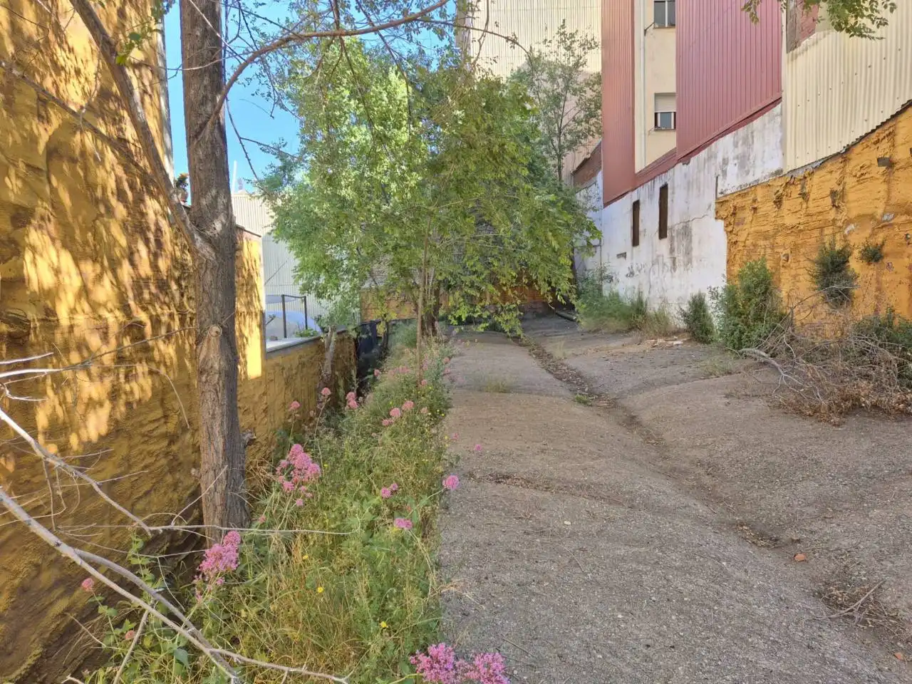 Terrain rustique à vendre à Avenida Santa Eulalia, imagen 10