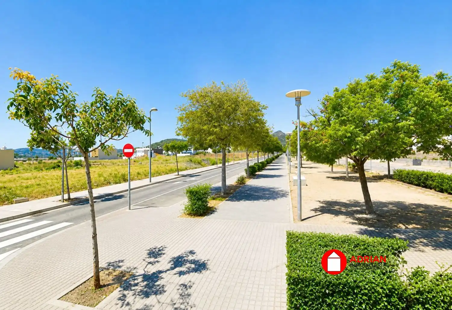 Terrenos y solares en venta en La Vall d'Uixó, imagen 5