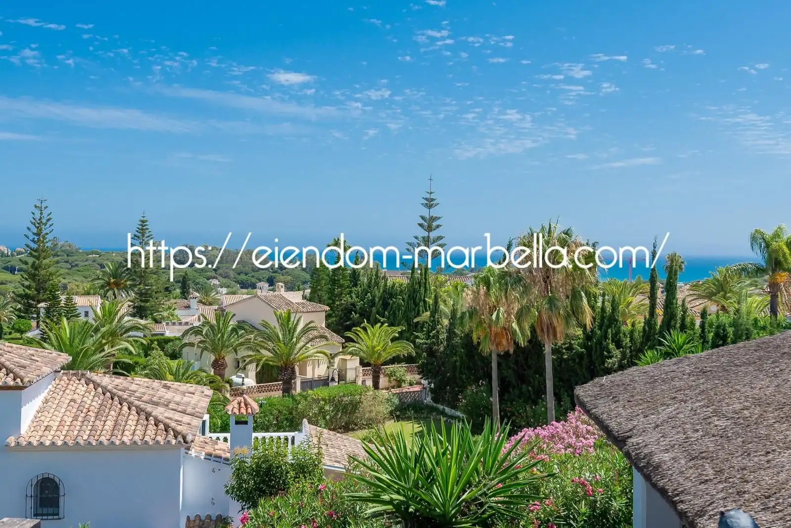 Chalet con piscina en venta en Elviria - Cabopino, imagen 3