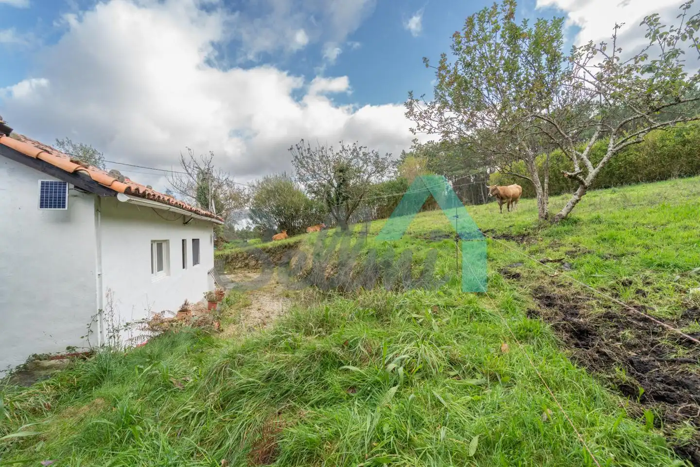 Vista exterior de Casa o xalet en venda en Cudillero amb Jardí privat i Traster