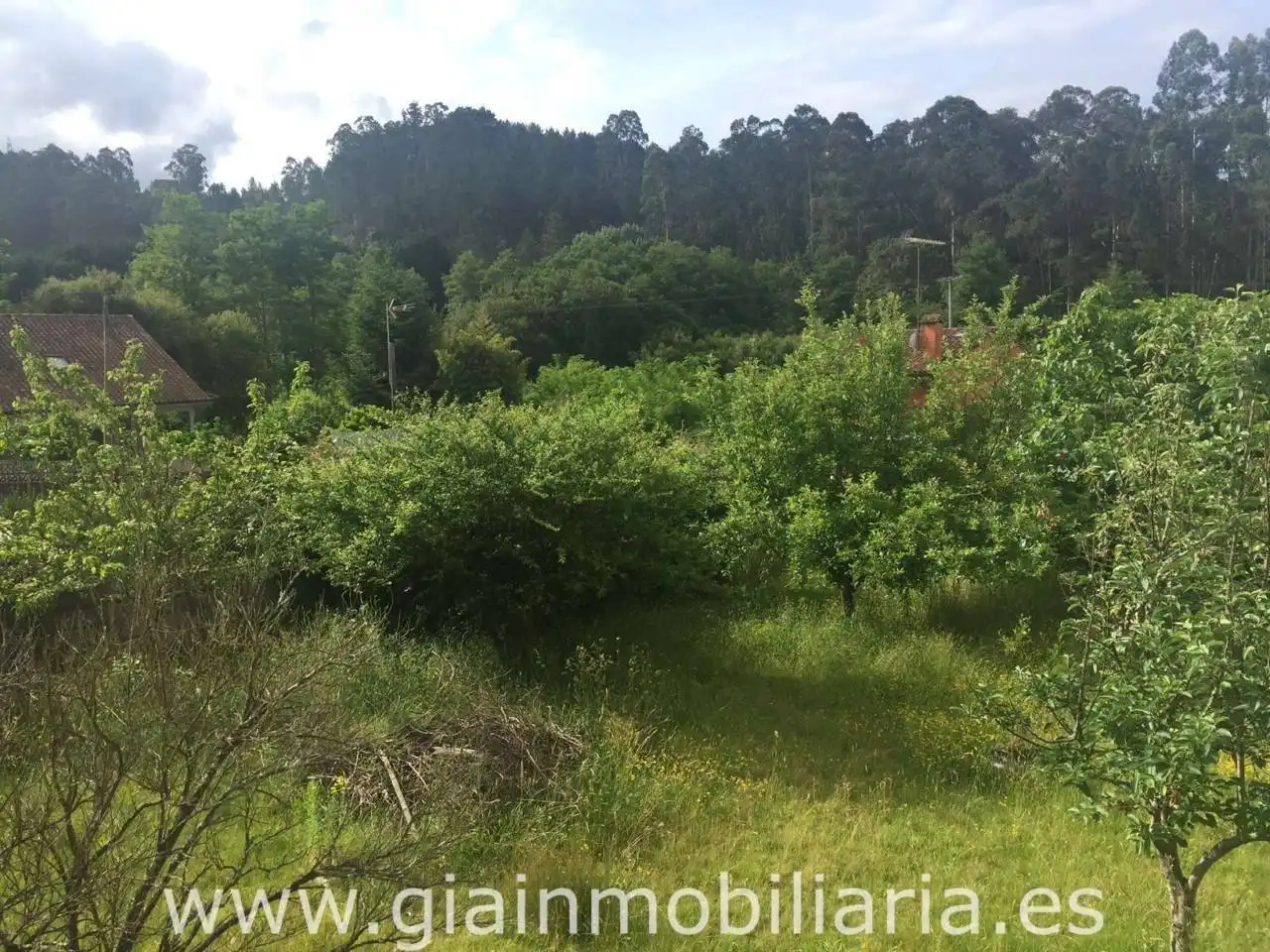 Terreny rústic en venda a Carretera Pego 89, imagen 5